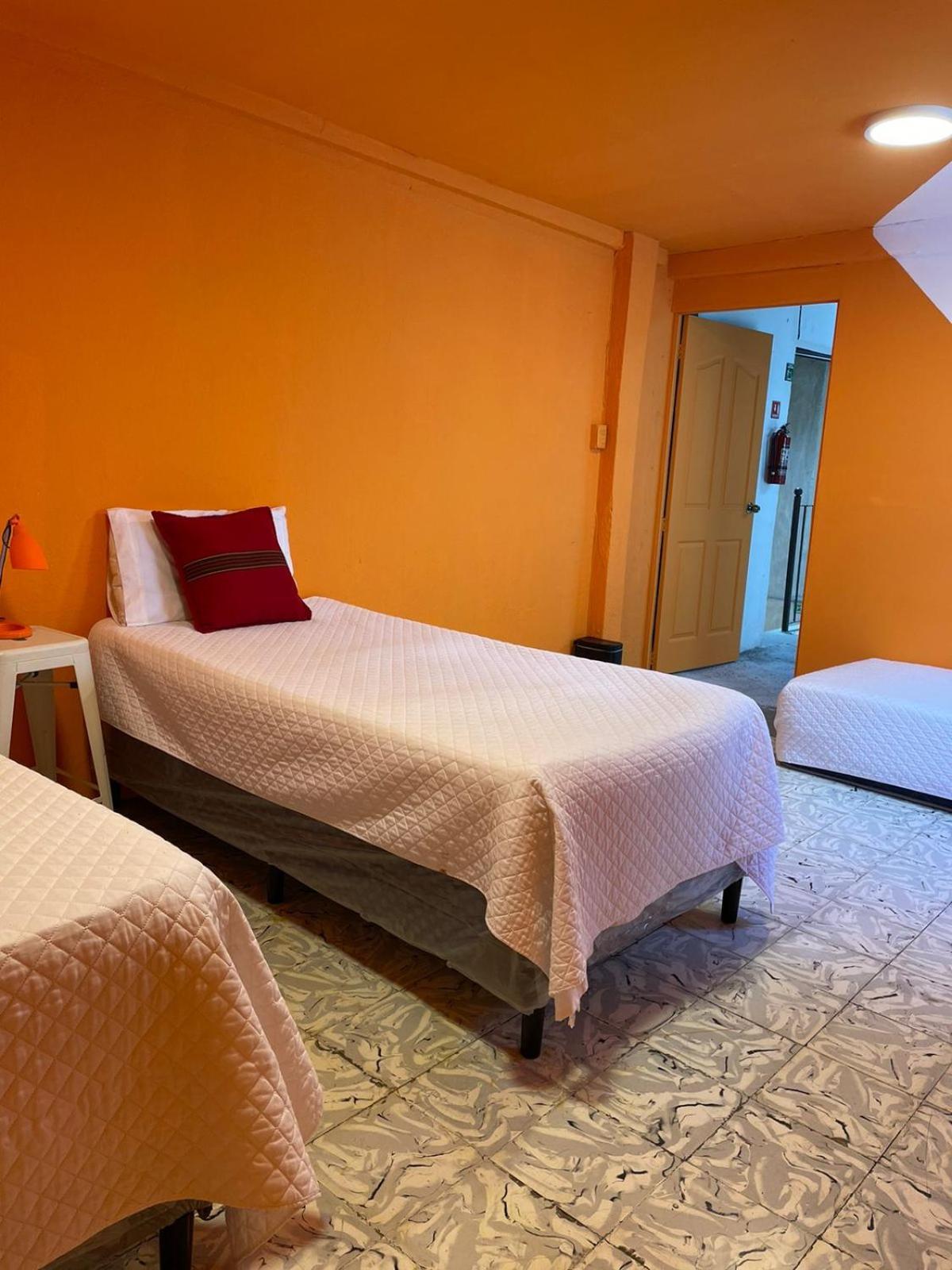 Why Not Hotel أنتيغوا غواتيمالا الغرفة الصورة