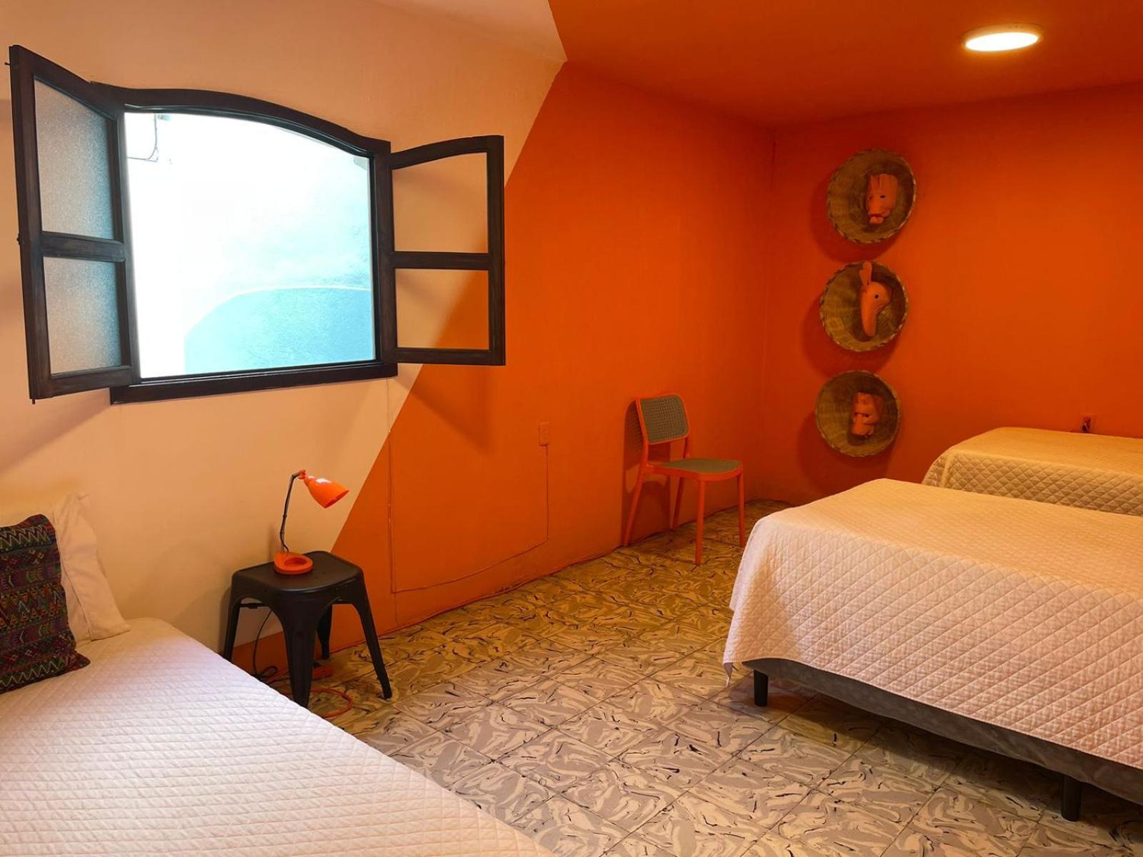 Why Not Hotel أنتيغوا غواتيمالا الغرفة الصورة